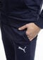 Treniņbikses vīriešiem Puma Team Goal Casuals 658598 33, zilas цена и информация | Sporta apģērbs vīriešiem | 220.lv