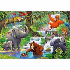 Puzle Castorland Maxi Džungļu dzīvnieki, 40 d. cena un informācija | Puzles, 3D puzles | 220.lv