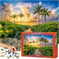Puzle Castroland, Krāsains saullēkts Maiami, ASV, 3000. d. цена и информация | Пазлы | 220.lv
