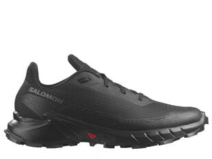 Alphacross 5 salomon for men's black l47313100 L47313100 цена и информация | Мужские шлепанцы, босоножки | 220.lv