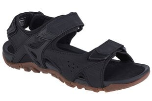 sandały męskie 4F Sandals 4FSS23FSANM018-20S 60536-P cena un informācija | Vīriešu iešļūcenes, čības, sandales | 220.lv