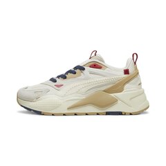 Sporta apavi PUMA RS-X Efekt Expeditions 395937024099686149772 cena un informācija | Sporta apavi vīriešiem | 220.lv