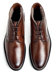 Ботинки мужские Lloyd 23-576-03 573172386, коричневые цена и информация | Мужские ботинки | 220.lv