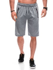 спортивные штаны w481 - серые 125015-78 цена и информация | Мужские шорты | 220.lv