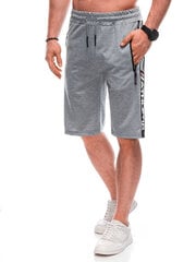 спортивные штаны w483 - серые 125021-78 цена и информация | Мужские шорты | 220.lv