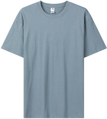 T-krekls vīriešiem Glo Story, zils цена и информация | Мужские футболки | 220.lv