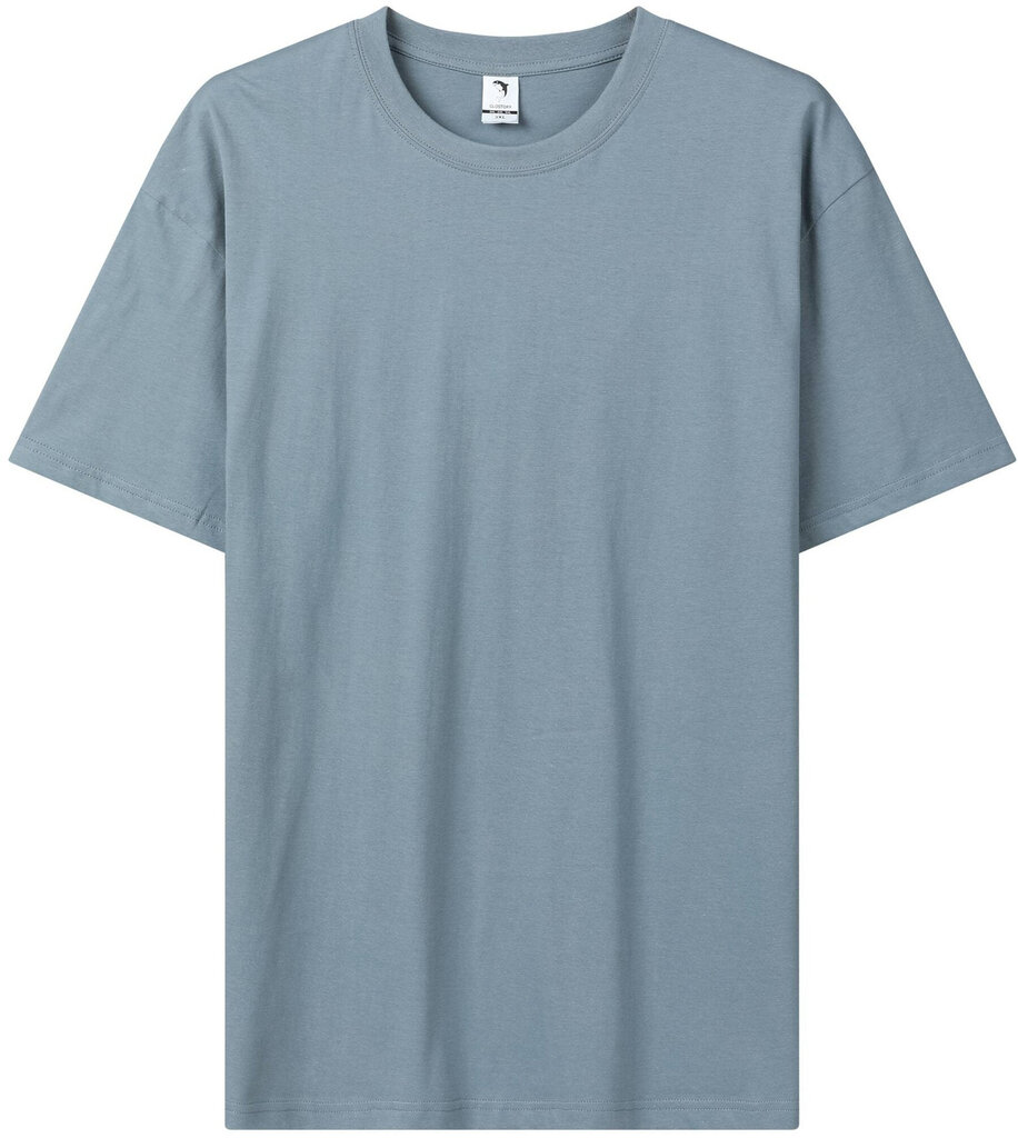 T-krekls vīriešiem Glo Story, zils cena un informācija | Vīriešu T-krekli | 220.lv