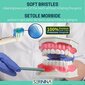 Oral-B, 4 gab. cena un informācija | Uzgaļi elektriskajām zobu birstēm | 220.lv