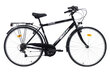 Prece ar bojājumu. Pilsētas velosipēds Bottari Firenze 28", melns cena un informācija | Preces ar bojājumiem | 220.lv