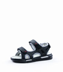 Clibee детские сандалии 443070 01, черный/серый 443070*01-037 цена и информация | Детские сандали | 220.lv