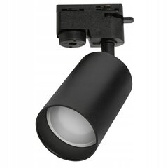 Led-lux griestu lampa AL-586 цена и информация | Потолочные светильники | 220.lv