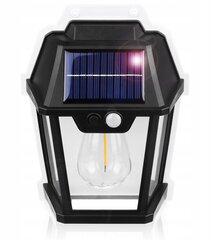 Фасадный светильник Interlook 600 лм, работающий от солнечной энергии цена и информация | Уличное освещение | 220.lv