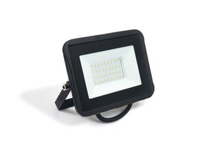 LED halogēna prožektors, 30W, silti balts цена и информация | Фонарики | 220.lv