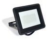 LED halogēna prožektors, 50W, silti balts цена и информация | Lukturi | 220.lv