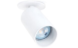 Zemgaismas LED halogēna gaismeklis Lungo x1 цена и информация | Монтируемые светильники, светодиодные панели | 220.lv