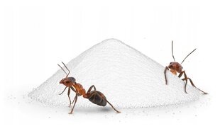 STRONG порошок против муравьев 2,5 кг цена и информация | Средства от комаров и клещей | 220.lv
