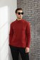 Vīriešu džemperis Plilima, sarkans cena un informācija | Vīriešu džemperi | 220.lv