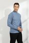 Vīriešu džemperis Plilima, gaiši zils cena un informācija | Vīriešu džemperi | 220.lv