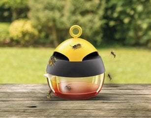 Ловушка для ос без вредителей цена и информация | Для борьбы с насекомыми | 220.lv