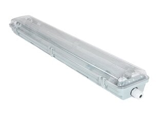 Герметичный светильник для светодиодных люминесцентных ламп T8 - 2x120 см цена и информация | Потолочные светильники | 220.lv