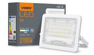 LED halogēna prožektors, 30W, balts, neitrāli balts цена и информация | Фонарики | 220.lv