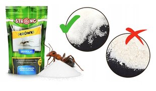 Spēcīgs pulveris pret skudrām, 1 kg cena un informācija | Aizsardzībai pret kukaiņiem | 220.lv