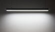 Lumenix piekaramā LED griestu lampa Linea cena un informācija | Piekaramās lampas | 220.lv