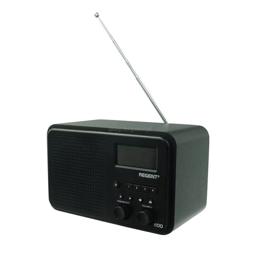 Ferguson Regent i100 cena un informācija | Radioaparāti, modinātājpulksteņi | 220.lv