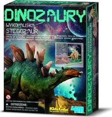 Развивающий набор Раскопки Стегозавр 4М цена и информация | Развивающие игрушки | 220.lv