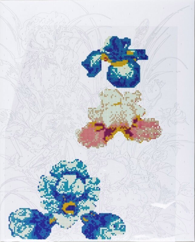 Dimanta mozaīkas komplekts Centrum, Irises,400x500mm цена и информация | Dimantu mozaīkas | 220.lv