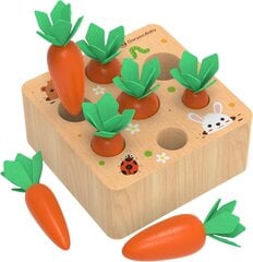 Attīstoša rotaļlieta mazuļiem Carrots cena un informācija | Rotaļlietas zīdaiņiem | 220.lv