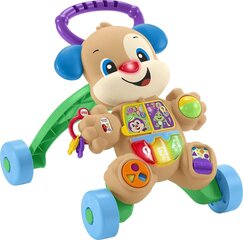 Stumjamā rotaļlieta Fisher Price, 1 gab. цена и информация | Ходунки | 220.lv