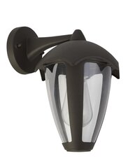 Searchlight наружный настенный светильник Bluebell 57891GY, 1 шт. цена и информация | Уличное освещение | 220.lv