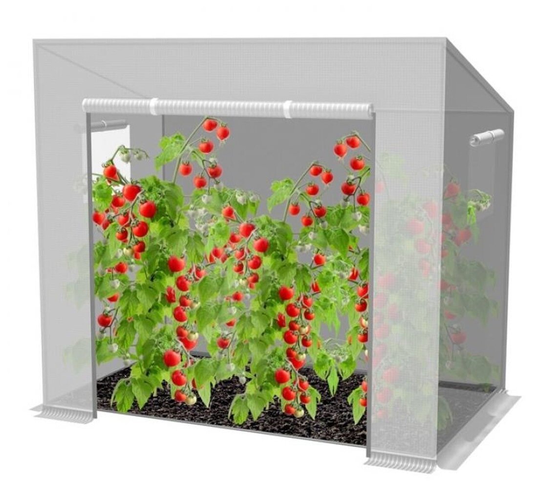 Siltumnīca tomātu audzēšanai, 200 cm x 80 cm x 170/148 cm, balta plēve цена и информация | Siltumnīcas | 220.lv