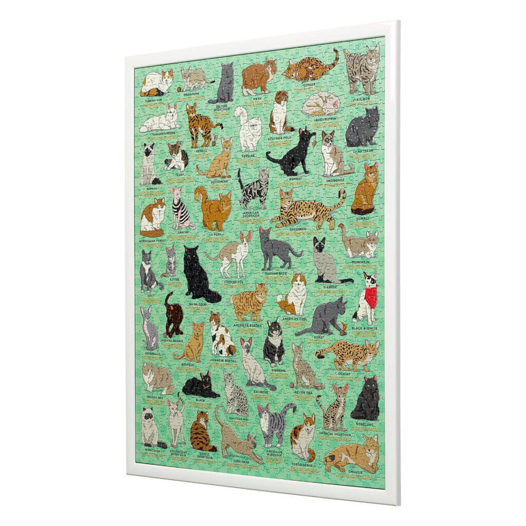 Puzle ar kaķiem Cat Lover's Jigsaw, 1000 d. cena un informācija | Puzles, 3D puzles | 220.lv