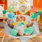 Gultiņa - šūpulītis mazuļiem, Grey cena un informācija | Bērnu šūpuļkrēsliņi | 220.lv