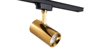 GU10 светодиодный галогенный светильник на рейку Steka Ductus - золото цена и информация | Трековые светильники и шинопроводы | 220.lv