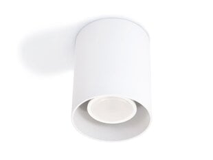 Brolux LED montējams halogēna gaismeklis Creep x1 cena un informācija | Griestu lampas | 220.lv