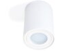 Koloreno LED gaismeklis ar fiksētu halogēna gaismekli LED Busto S x1 cena un informācija | Griestu lampas | 220.lv