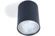 Koloreno LED halogēna gaismeklis Busto S x1 cena un informācija | Griestu lampas | 220.lv