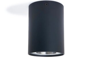 LED Busto S x1, Черный/серебристый накладной галогенный светильник из алюминия цена и информация | Потолочные светильники | 220.lv