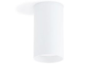 Светодиодный накладной галогенный светильник GIA, белый матовый цена и информация | Потолочные светильники | 220.lv