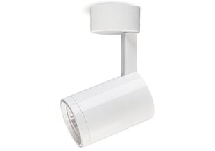 Накладной галогенный настенно-потолочный светильник LED Nuuk, белый цена и информация | Потолочный светильник | 220.lv