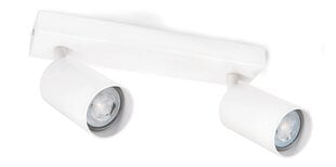 Накладной галогенный настенно-потолочный светильник LED Spoti x2, белый цена и информация | Потолочные светильники | 220.lv