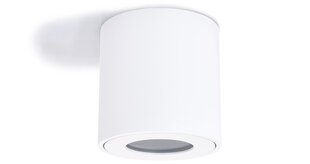 Фиксированный алюминиевый накладной галогенный светильник IP54 LED Cubo Aqua - Белый цена и информация | Потолочные светильники | 220.lv