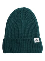 Calvin Klein шапка для мальчиков IU0IU00440CA4, синяя цена и информация | Шапки, перчатки, шарфы для мальчиков | 220.lv