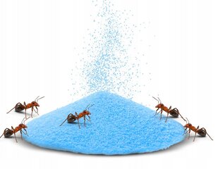 No-Pest 4 Ants порошок от муравьев 1 кг цена и информация | Для борьбы с насекомыми | 220.lv