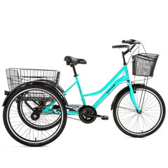 Городской трехколесный велосипед Bisan 24 PORTER (PR10010500) светло-зеленый/черный цена и информация | Велосипеды | 220.lv