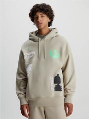 Calvin Klein Jeans džemperis vīriešiem Future Fade Multi Graphic Hoodie Plaza J30J324103PED 560077175, bēšs cena un informācija | Vīriešu jakas | 220.lv