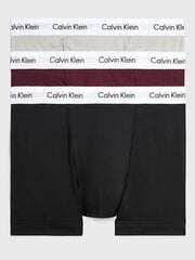 Calvin Klein šorti vīriešiem Trunk 0000U2662GH57 545667383, dažādas krāsas, 3gab. cena un informācija | Vīriešu apakšbikses | 220.lv